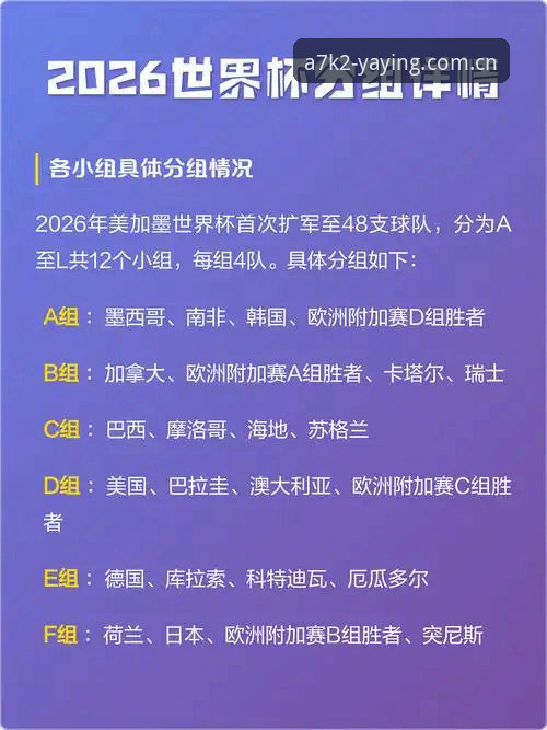 2026世界杯观赛体验全面评测：签证危机与赛场空座背后的政治博弈